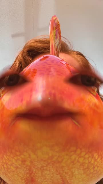 Preview for a Spotlight video that uses the GoldFish Lens