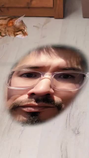 Preview for a Spotlight video that uses the Cat & Dog  Lens