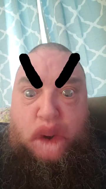 angry pet eyebrows Lens by Runente Media - Snapchat Lenses and Filters