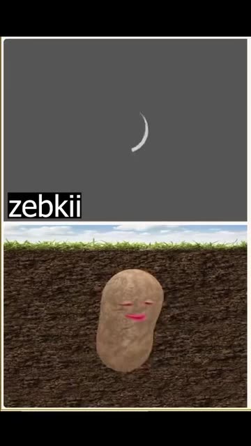 zebkii 🖤
