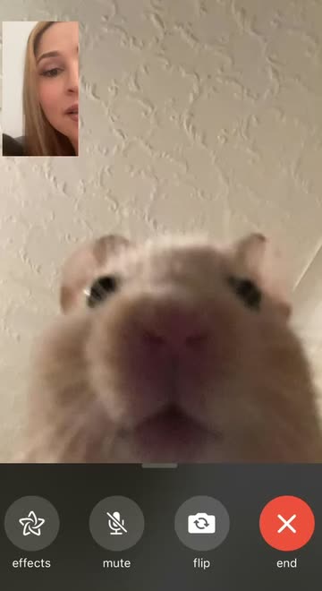 Preview for a Spotlight video that uses the Mouse Facetime Lens