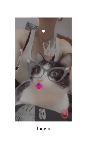 Preview for a Spotlight video that uses the Pet filter Lens