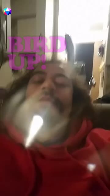 Preview for a Spotlight video that uses the Bird Up Lens