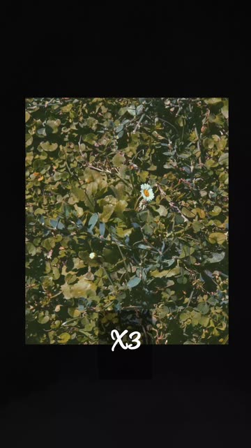 jbutterflyy_420