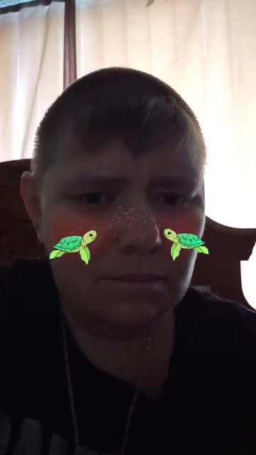 Preview for a Spotlight video that uses the turtles Lens