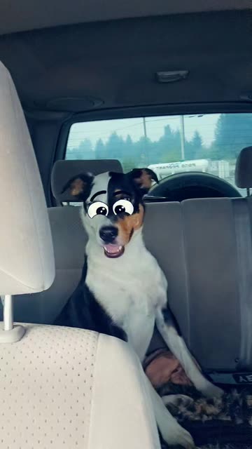 Preview for a Spotlight video that uses the Pop-Up Eyes Lens