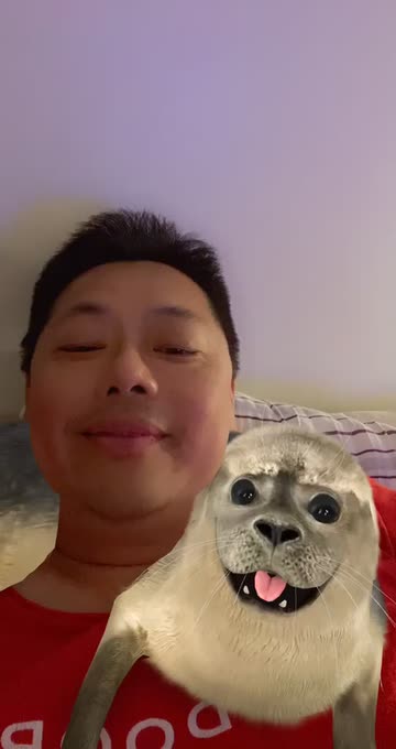 Preview for a Spotlight video that uses the Derpy Seal Lens