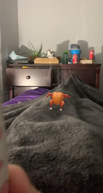 Preview for a Spotlight video that uses the Thanksgiving Turkey  Lens