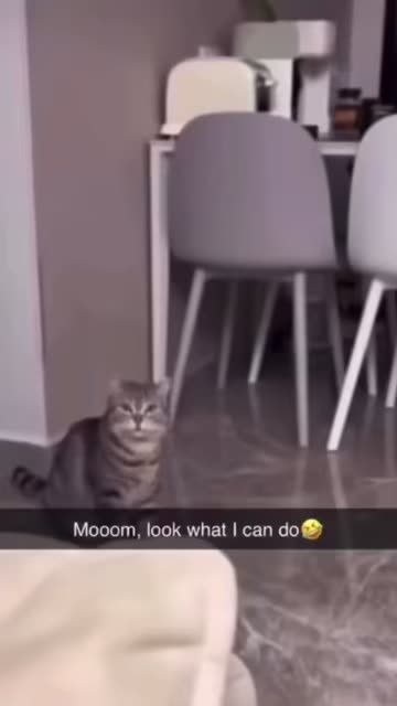 Spotlight content by a Snapchat user