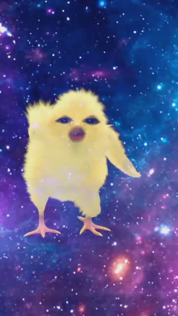 Preview for a Spotlight video that uses the Dancing Chicken Lens