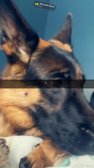 Preview for a Spotlight video that uses the Stretchy Face Lens