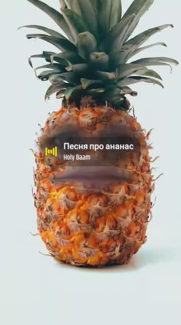 Preview for a Spotlight video that uses the PINEAPPLE Lens