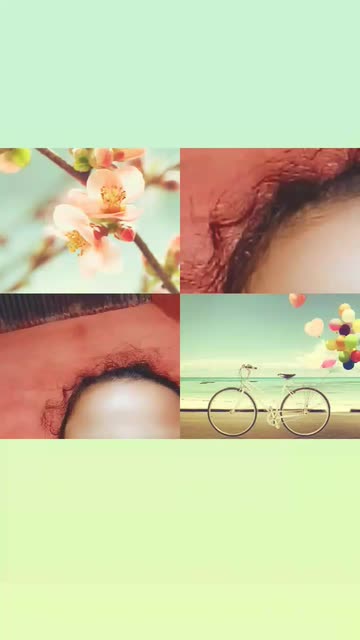 Preview for a Spotlight video that uses the Green Collage Lens
