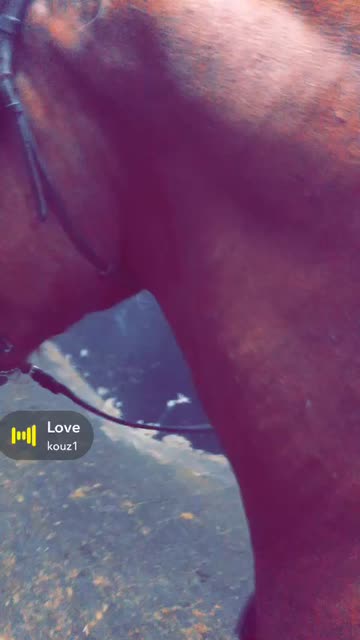 Preview for a Spotlight video that uses the Brown Eyes Lens