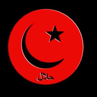 Halal Islam Pro