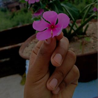 Deepali Kumari