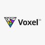 Voxel 3D