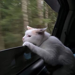 ❤️ིྀ