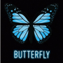Butterfly 🦋