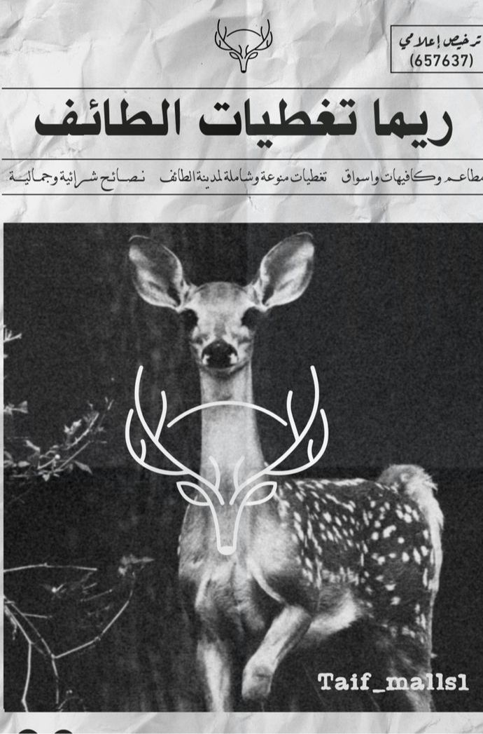 ريما للتغطيات🦌الطائف