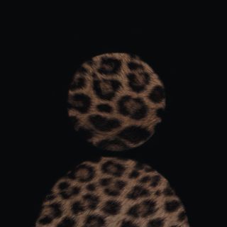 𝒸𝒶𝓂𝒾𝓁𝓁𝑒🐆♠️