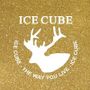 ICE CUBE - آيس كيوب