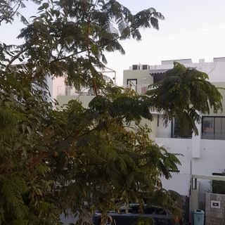 صمت الخوطر