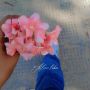 S_lohia