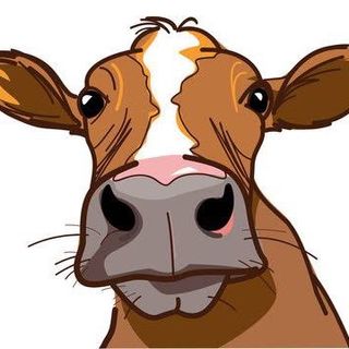 Lil Cowz