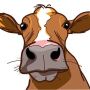 Lil Cowz