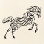 NAWAEMنواعم
