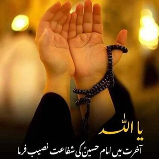 ❤️Meer Tabasum Fatima❤️