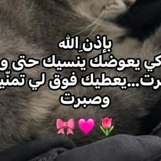 ❤Mimi Japonaise💍