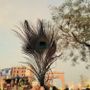 Shristhi Singhal