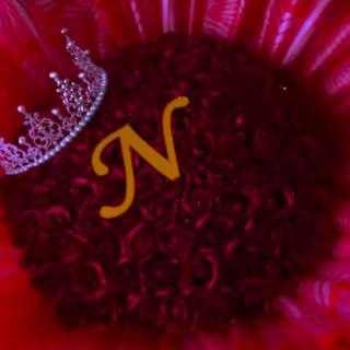 👑 نجمة نجم 🇧🇭