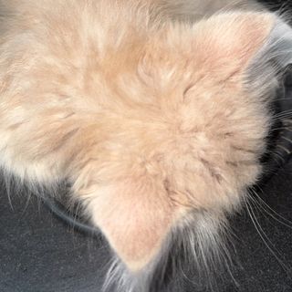 💜
