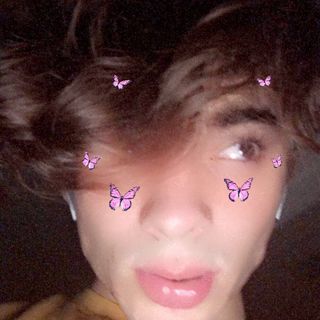 joshfellion