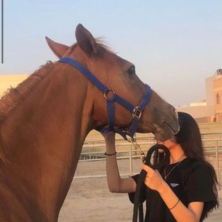 ﮼الُمهره عبـدالله 🏹