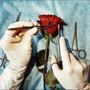Dr: Safa 🇾🇪👩🏻‍⚕️