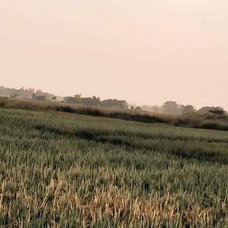 Khushi