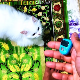 ishan_143_