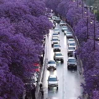 جديد ابها