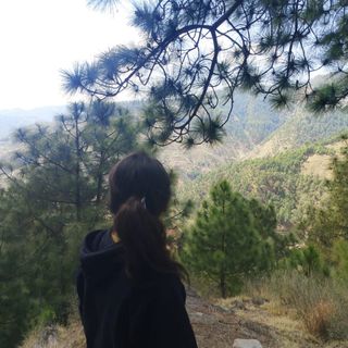 riiyaaaavx