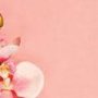 الغامدية 🌸