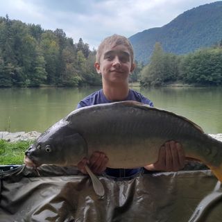 Blaž Pungartnik
