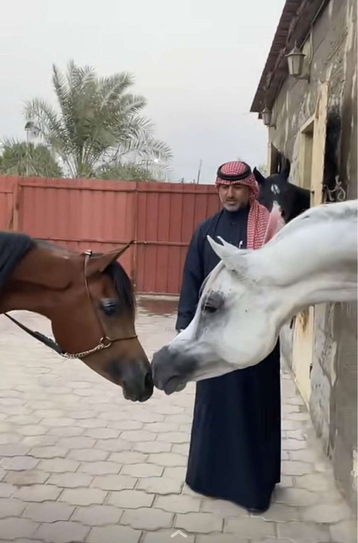 🐎 بدر الجويبر 🐎