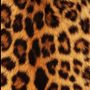 Tiger 🐆