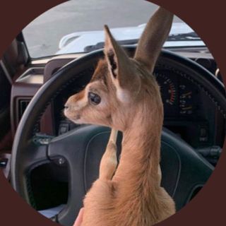 ﮼العيوز 👵🏼