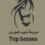TOP.horses A