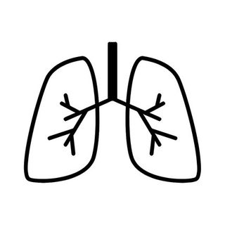 LungFlexer™